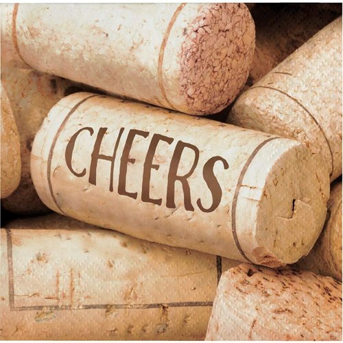 Creative Converting Cheers Sip Hooray Birthday Party Paper Beverage Napkins, 5" x 5", Multicolor