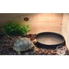 OMEM Reptile Food Bowl Water Dish,Feeding Dish, Birds Bowl (L, Black)