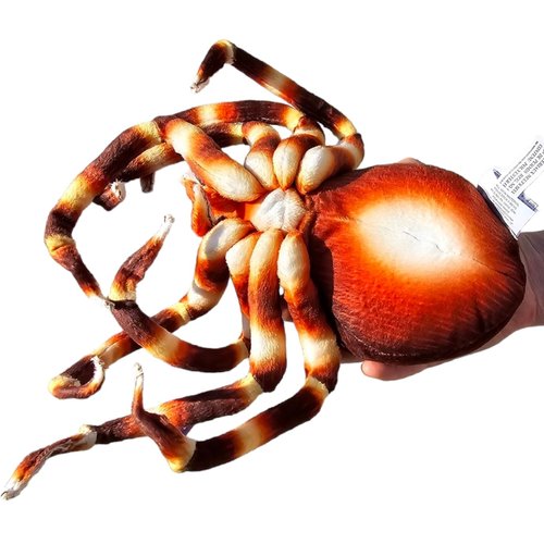 Zugar Land 8" Spider Plush Toy (Blue, Brown Orb-Weaver or Brown Tarantulas) Soft Cozy Plush Pillow Cuddling Decor Not Scary at All. (Brown Orb-Weaver)