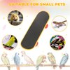 Intatikoo 2 Pcs Bird Toys Mini Skateboard Toys, Small Pets for Play and Training Toys Mini Walking Skateboards Budgies Reptiles Skateboards