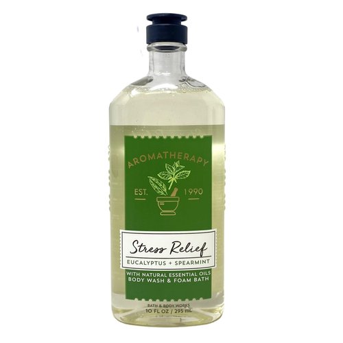 Bath & Body Works Eucalyptus Spearmint Gift Set - Body Wash & Foam Bath and 3 - Shower Steamers with a Himalayan Salts Springs Sample Soap