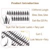 CB Individual False Eyelashes, DIY Individual Cluster Eyelash Extensions At Home, Natural Doll Look Lashes, Set Of 10mm/ 11mm/ 12mm, 2 Trays, Fishtail & Fairy Sandwich
