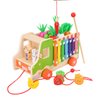DUCOMINGTOY Montessori Wooden Educational Toys Includes Carrot Harvest Game Sorting and Stacking Toys Magnetic Fishing Game Montessori Wooden Activity Bus Walk-A-Long Toy Truck for Boys Girls Kids…