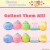 Hamee Pusheen The Cat [Surprise Blind Capsule] [Fruits Series] Cute Water Filled Squishy Toy [Birthday Gift Bags, Party Favors, Gift Basket Filler, Stress Relief Toys] (Assorted - 2 Pc.)