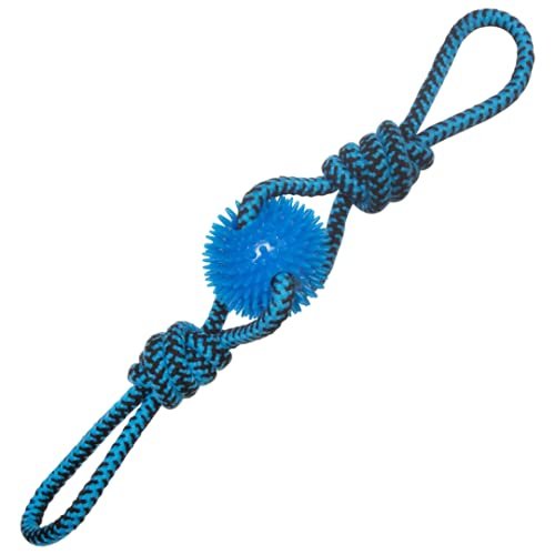 SNUGAROOZ Spikey Baby Dog Toy