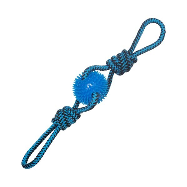 SNUGAROOZ Spikey Baby Dog Toy