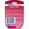 Vaseline Lip Therapy Bundle - Creme Brulee, Rosy Lips & Cocoa Butter, 0.25 Ounce (Pack of 3)