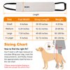 LOOBANI Portable Dog Sling for Back Legs, Hip Support Harness to Help Lift Rear for Canine Aid Old K9 Cruciate Ligament Rehabilitation