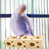 MUYG Bird Wooden Block Chewing Toy Parrot Beak Grinding Toys Wood Birds Cage Foraging Training Toys with Bird Perch for Parakeets Cockatiels Lovebird Budgie