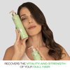 abril et nature - Cell Innove Hair Mask - For All Hair Types - Hydrates, Rejuvenates, and Regenerates - Professional Treatment with Plant Stem Cells - Healthy and Strong Appearance - 200 ml