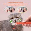 6Pcs Cat Catnip Toys for Indoor Kitten Cat, Scratch Interactive Cat Toy with Catnip, Cotton Rope Silvervine Chew Toys, Cleaning Teeth Stick Cat Dental Care, Cat Kicker Toys for All Age& Breeds