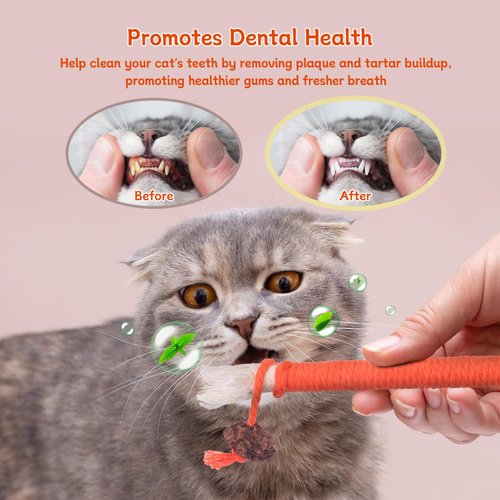 6Pcs Cat Catnip Toys for Indoor Kitten Cat, Scratch Interactive Cat Toy with Catnip, Cotton Rope Silvervine Chew Toys, Cleaning Teeth Stick Cat Dental Care, Cat Kicker Toys for All Age& Breeds