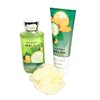CUCUMBER MELON BATH AND BODY GIFT SET 4 PIECE GIFT SET BATH & BODY GIFT SET BODY CREAM BODY SHOWER GEL BATH FOAM 11 INCH BEAR VALENTINES GIFT SET MOTHER'S DAY GIFT SET BIRTHDAY GIFT SET WOMEN'S BODY GIFT SET CLEAR CELLO WRAPPED WITH RIBBON (COLOR MAY VARY