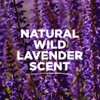 Tom's of Maine Long-Lasting Aluminum-Free Natural Deodorant for Women, Wild Lavender, 2.25 oz. (Packaging May Vary)
