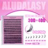 ALUDALASY Lash Clusters 280PCS Wispy Lash Clusters 9-16mm Fluffy Lash Clusters D Curl 30D 40 D Natural Lash Clusters DIY Lash Extension for Home Use(30+40D)