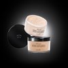 GA-DE Idyllic Mineral Loose Powder - Lightweight Setting Powder Makeup - Provides Antioxidant Protection and Blurs Imperfections - 100 Nude - 0.88 oz