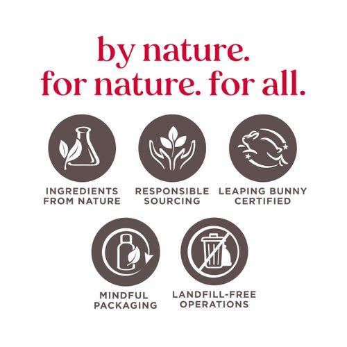 Burt's Bees Gifts Ideas - In Full Bloom Lip Balm Set, Original Beeswax, Dragonfruit Lemon, Tropical Pineapple & Strawberry, Natural Origin Lip Treatment, 4 Tubes, 0.15 oz.