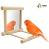 Blessed Family 2 Piece Bird Parakeet Mirror for Cage,Parrot Perch Stand,Wooden Hummingbird Swing Toy,Parakeet Accessories for Cockatiels Conure Finch Lovebird Canary African Grey Macaw