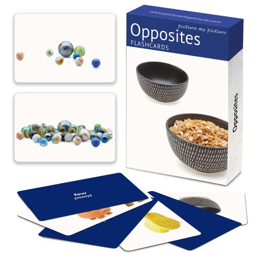 Opposites Matching Flash Cards | 40 Language Builder Picture Cards | Picture Cards for Speech Therapy | ABA Therapy Materials | ESL Games | Toddler Flash Cards | Flash Cards for Kids | Therapy Game