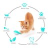 Sanshia Cat Toothbrush Catnip Toy, Interactive Chew Toy with Built-in Bells, Rubbing Face Eliminate Loneliness,Easy Clean
