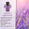 yethious Jasmine Lavender Essential Oil Set Organic Pure for Jasmine Essential Oil for Diffuser & Aromatherapy Lavender Oil Set