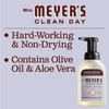 Mrs. Meyer's Clean Day Foaming Hand Soap, Lavender Scent, 10 Fl oz (Pack of 2)