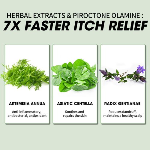 CNMOFAXIN Anti Dandruff Shampoo - Scalp Deep Cleansing, Excess Sebum Care, Natural Ingredients - For Women & Men, Treats Folliculitis, Seborrheic Dermatitis - Relieves Itchy, Dry Scalp 16.8 fl.oz