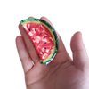 Watermelon Claw Clips,Cellulose Acetate Hair Clips,Small Claw Clips for Women