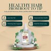 Rosemary and Biotin Organic Pre-Wash Scalp Oil and Hair Treatment Oil: Pre Shampoo Dry Scalp Treatment, Hair Growth Stimulator Serum For Healthy Scalp & Less Hair Fall and Breakage. 2 Fl Oz.