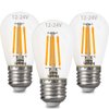 LEMENG 12volt LED Light Bulb 4W Edison Filament Vintage ac/dc12V 24V Low Voltage(3000K Warm White) E26 Base for Landscape RV Camper Marine Battery Power System Off Grid Solar Lighting-Pack of 3