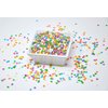 Oasis Supply Edible Confetti Sprinkles Cake Cookie Cupcake Quins Pastel Sequin (8 Ounces)