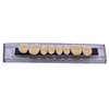 RZJZGZ 168 Pcs Dental Synthetic Resin Tooth Denture Temporary False Teeth 6 Sets False Teeth 23 A2