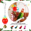 Christmas Parakeet Cockatiel Bird Toys, Hammock Swing Toy for Budgerigar, Conures, Love Birds, Finches, Mynah