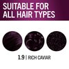 Schwarzkopf Keratin Color Permanent Hair Color, 1.9 Rich Caviar, 1 Application - Salon Inspired Permanent Hair Dye, for up to 80% Less Breakage vs Untreated Hair and up to 100% Gray Coverage