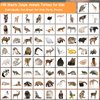 CHARLENT Jungle Animals Temporary Tattoos for Kids Party Supplies - 148 Individually Sheets Safari Animals Tattoos for Boys Girls Animals Birthday Party Favors Goodie Bag Fillers