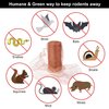 Copper Mesh Roll for Mice Rat Rodent Repellent, Sturdy 5’’ * 32Ft Copper Wool Mouse Trap for Bat Snail Bird Control with Packing Tool
