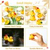 Haooryx 20Pcs Summer Beach Rubber Duckies Float Bathtub Ducky Swimming Pool Toys Summer Theme Novelty Funny Squeeze Ducks for Kids Birthday Party Favors Prize Rewards Baby Shower Bath Toys Decoration