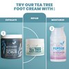 Eva Naturals Tea Tree Foot Cream - Foot Lotion with Peppermint, Menthol and Spearmint - Soothing Foot Cream Treatment for Dry Cracked Heels and Feet