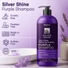 VANIDOX Sulfate Free Purple Shampoo for Grey and Silver Hair, Brass Toning Purple Shampoo Infused with Purple Pigment, Purple Shampoo for Gray Hair for Women (16 fl oz)