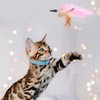 POPETPOP Cat Collar Toys-4 Pcs Cat Toy Collars Interactive Cat Toys for Indoor Cat Self Playing Chasing Plaything with Bell Teasing Wand for Kittens Small Animals