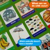 Docdeer Toddler Flash Cards 208 Sides -104 Learn Objects Food Animal Flashcards 2 3 4 5 6 7 8