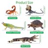 Toymany Reptile Animal Figurine Toys Set, 12 PCS Desert Amphibians Animal Figures with Komodo Dragon Lizard Snake Chameleon Rainforest Cold Blooded Animals Figures Party Favor for Kids
