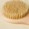 HiKin Dry Bath Body Brush Back Scrubber 9.84", Short Handle Natural Bristles Bath & Shower Brush with Anti-Slip Wooden Handle, Perfect for Exfoliating/Blood Circulation/Detox and Cellulite, etc.