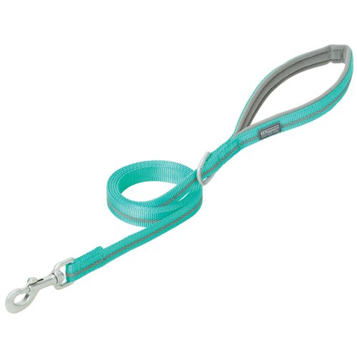 Terrain D.O.G. Reflective Neoprene Lined Dog Leash, Mint, 6-feet L x 1-inch W