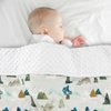 TANOFAR Baby Blankets, Adventure Mountains Minky Toddler Blanket for Boys Girls, Dotted Backing, Double Layer, Crib Receiving Blanket, for Nursery/Stroller/Toddler Bed/Carseat, 30 x 40 Inch