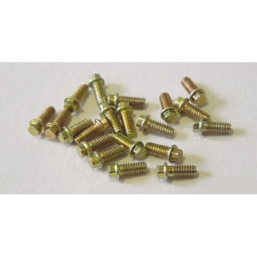 SSD RC 2x5mm Scale Hex Bolts (20)