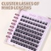 Lash Clusters 100 Pcs Cluster Lashes Natural Look DIY Eyelash Extension Manga Individual Lashes 10-16mm Mixed D Curl Wispy Fluffy Anime Lash Clusters Super Thin Band, Soft & Reusable