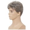 Salaibs Grey Short Wigs for Men Natural Layered Realistic Synthetic Wigs for Male Guy Halloween Daily Wig