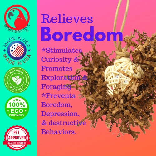 Bonka Bird Toys 3866 Natural Foraging Star Small Medium Bird Toy Vine Ball Crinkly Paper Forage Chew Shred Cockatiels Parakeets Conures and Other Similar Birds