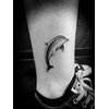 5X2Y Tattoo Tech, Long Lasting Temporary Tattoos, Last 1-2 Weeks, Waterproof, Semi Permanent Tattoo, Realistic look, No Adhesive, No reflection (Dolphin)